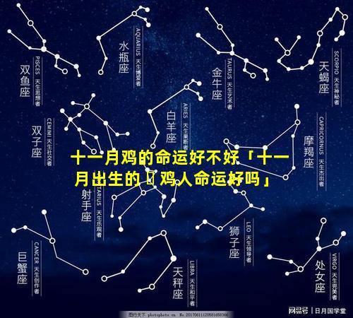 十一月鸡的命运好不好「十一月出生的 ☘ 鸡人命运好吗」